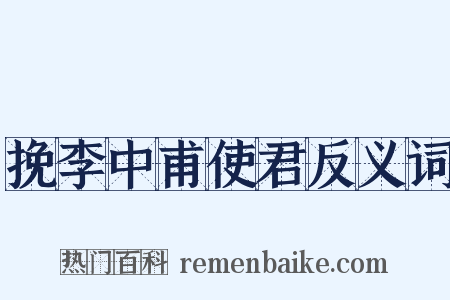 挽李中甫使君反义词是什么意思的图片
